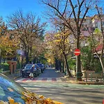 דירה Near Me